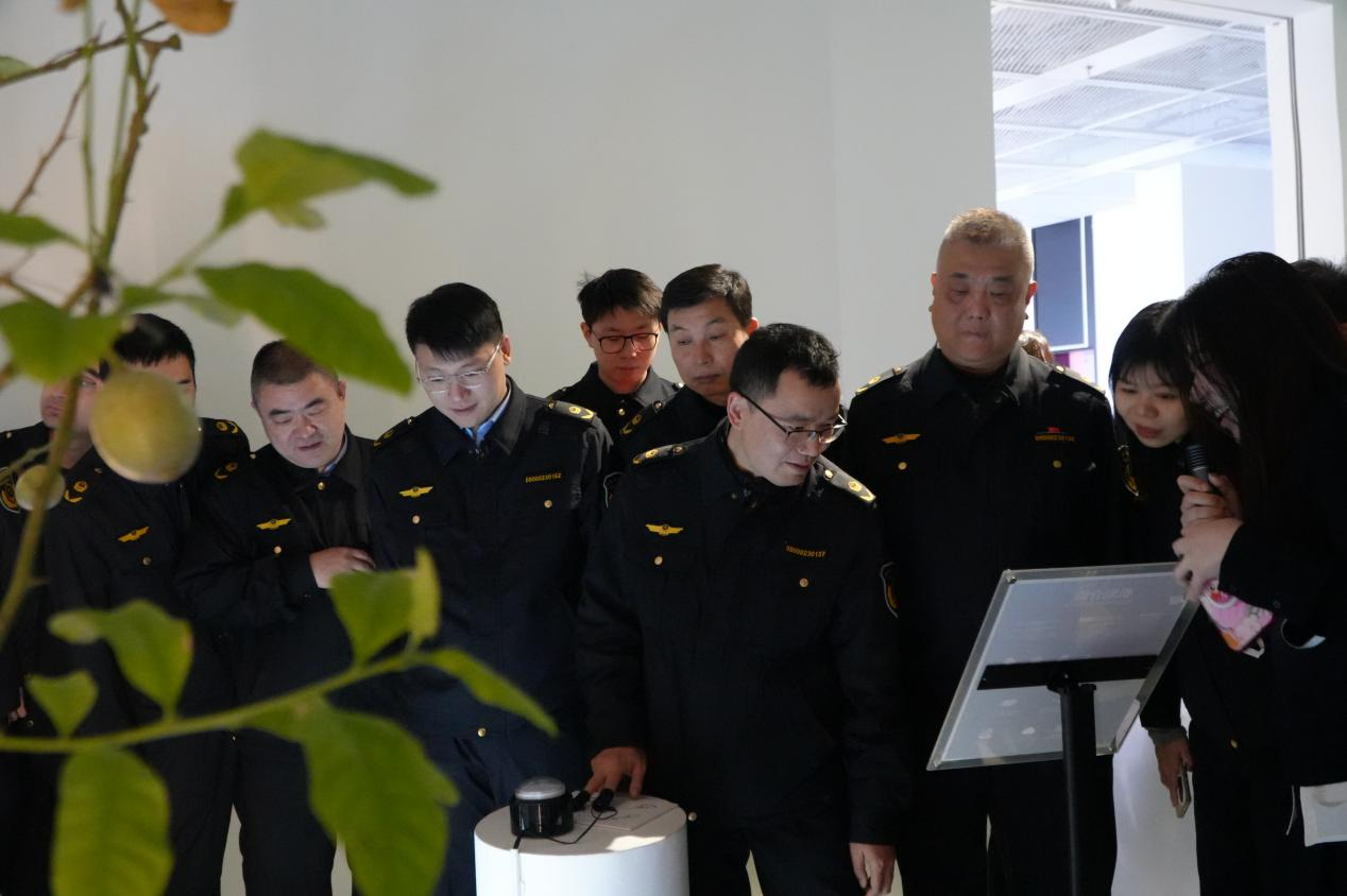 1764317724739321.png 图片3.png